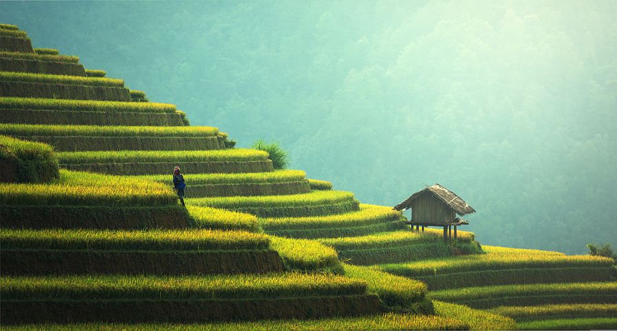 agri3